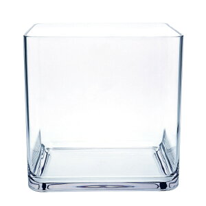 zCG/ȂԕrPVXNGA[30xH30/2300083y07z ԊA[X ԊEԕr |J[{l[g