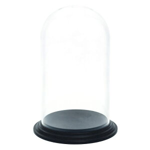 zCG/Ȃh[PVfBXvCJo[20/2300113Ay07z ԊA[X ԊEԕr |J[{l[g