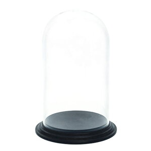 zCG/Ȃh[PVfBXvCJo[25/2300114Ay07z ԊA[X ԊEԕr |J[{l[g