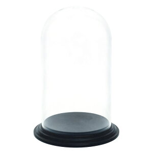 zCG/Ȃh[PVfBXvCJo[40/2300116Ay07z ԊA[X ԊEԕr |J[{l[g