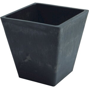 zCG/SKXNGA|bg 15D5/3D00020BKy07z ԊA[X ԊEԕr vX`bNEANԊ