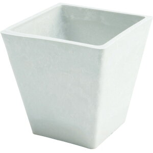 zCG/SKXNGA|bg 15D5/3D00020MLy07z ԊA[X ԊEԕr vX`bNEANԊ