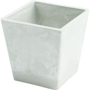 zCG/SKXNGA|bg 10/3D00031MLy07z ԊA[X ԊEԕr vX`bNEANԊ