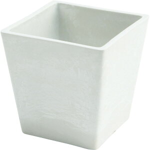 zCG/SKXNGA|bg 12/3D00032MLy07z ԊA[X ԊEԕr vX`bNEANԊ