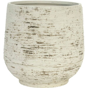 Aؔ  zCG/FR|be[zCgXg[/3A00023(M)y07z K[fjOE|pi t[|bg 