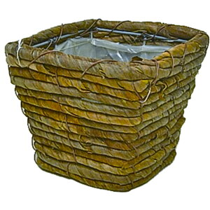 zCG/XNGANVbN S/7200002y07z ԊA[X ԂEt[oXPbg ̑ Ԃ