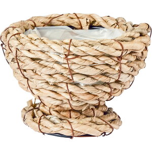 �z���C�G/NEW�u�^S 10�Z�b�g/7200020�y07�z �Ԋ�A���[�X �Ԃ����E�t�����[�o�X�P�b�g ���̑� �Ԃ���