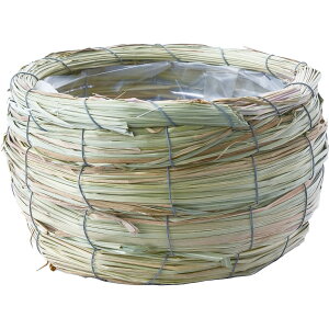 yΖӃZ[zzCG/OXۃi` M/7200111y07z ԊA[X ԂEt[oXPbg EH[^[qVXECYoXPbg