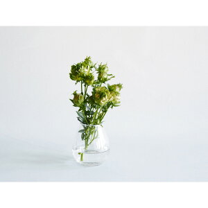 zCG/؂ςȂKXTomeBAhbvx[X/2600061y07z ԊA[X ԊEԕr ֑}Eԕr