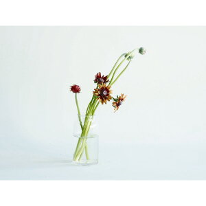 zCG/؂ςȂKXTom{gx[X7D5/2600066y07z ԊA[X ԊEԕr ֑}Eԕr