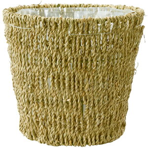 zCG/PPV[OX|bg5/7600086y07z K[fjOE|pi AؔEt[|bg Jo[