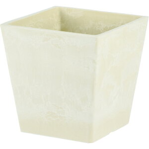 zCG/SKXNGA|bg 10/3D00031PBEy07z ԊA[X ԊEԕr vX`bNEANԊ