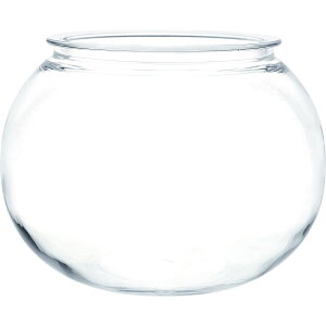 zCG/Ȃh[PV`20i12jxH15/2300185y07z ԊA[X ԊEԕr |J[{l[g