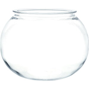 zCG/Ȃh[PV`49D5i32j/2300188y07z ԊA[X ԊEԕr |J[{l[g