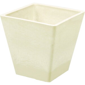 zCG/SKXNGA|bg 15D5/3D00020PBEy07z ԊA[X ԊEԕr vX`bNEANԊ