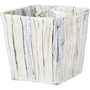 zCG/PPy[XNGASS/7600095WH 10Ry07z ԊA[X ԂEt[oXPbg V[OXoXPbg