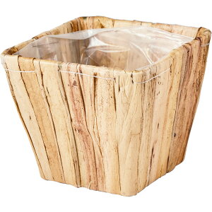 zCG/PPy[XNGAM/7600097NAy07z ԊA[X ԂEt[oXPbg V[OXoXPbg