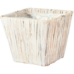 zCG/PPy[XNGAM/7600097WHy07z ԊA[X ԂEt[oXPbg V[OXoXPbg