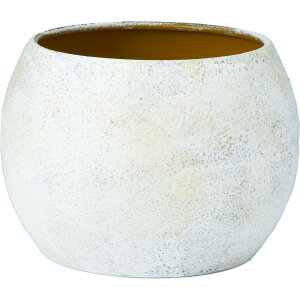 zCG/S̃|bgMC{E^BWH/3200031BWHy07z ԊA[X ԊEԕr uLEACA