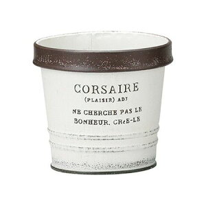 Aؔ  FV/RT[|bgLW/MH1298y01z K[fjOE|pi t[|bg ACAEuL