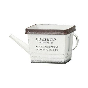 Aؔ  FV/RT[W[W PPt/MH1314y01z K[fjOE|pi t[|bg ACAEuL