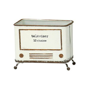 Aؔ  FV/eB[ChW /MA2405y01z K[fjOE|pi t[|bg ACAEuL