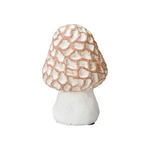 FV/tBvbgM/TH116y01z K[fjOE|pi K[fjOG݁EI[ig uEI[ig