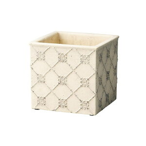 Aؔ  FV/gXXNGAW/EG9051y01z K[fjOE|pi t[|bg Zg