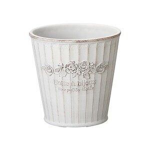 Aؔ  FV/{gAT[NSW/MS1312y01z K[fjOE|pi t[|bg 