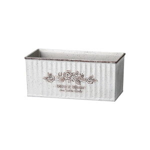 Aؔ  FV/{gAChSGY/MS1325y01z K[fjOE|pi t[|bg 