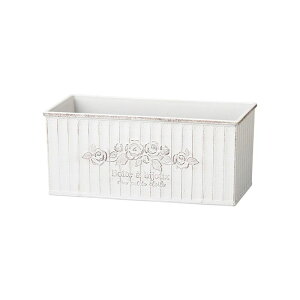 Aؔ  FV/{gAChMW/MS1324y01z K[fjOE|pi t[|bg 