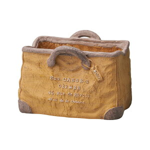 Aؔ  FV/HTbNSY/GF4703y01z K[fjOE|pi t[|bg OXt@Co[