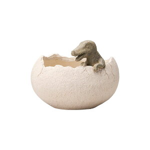 Aؔ  FV/fBm][Ch/GF4708y01z K[fjOE|pi t[|bg OXt@Co[