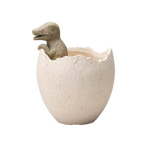 Aؔ  FV/fBm][T[N/GF4707y01z K[fjOE|pi t[|bg OXt@Co[