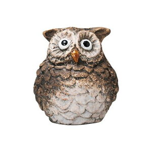 FV/Cu[M/5K105y01z K[fjOE|pi K[fjOG݁EI[ig uEI[ig