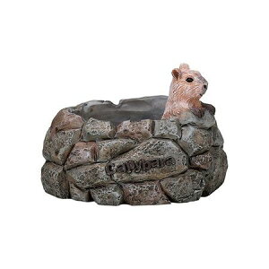 Aؔ  FV/oJso|bg/5E4228y01z K[fjOE|pi t[|bg W