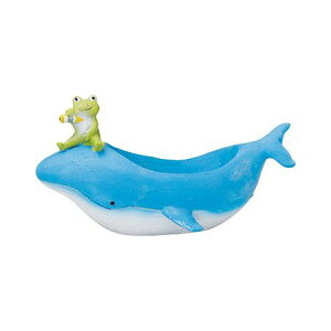 Aؔ  FV/OkCok|bg/5E4249y01z K[fjOE|pi t[|bg W