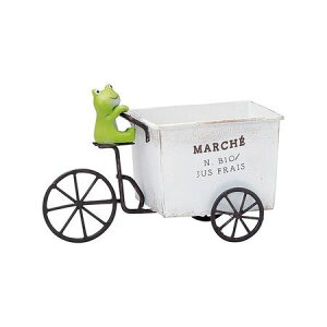 Aؔ  FV/OkC}V|bgW/5E4250y01z K[fjOE|pi t[|bg W