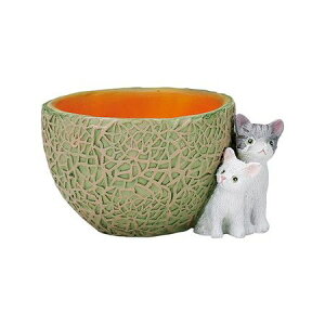 Aؔ  FV/Vg|bg/5E4253y01z K[fjOE|pi t[|bg W