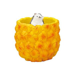 Aؔ  FV/G\pC|bg/5E4255y01z K[fjOE|pi t[|bg W