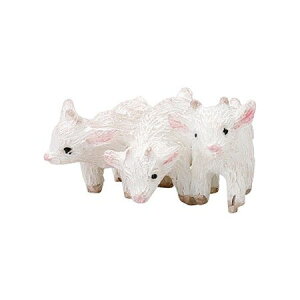 FV/gVF[uXS/5E4214y01z K[fjOE|pi K[fjOG݁EI[ig uEI[ig