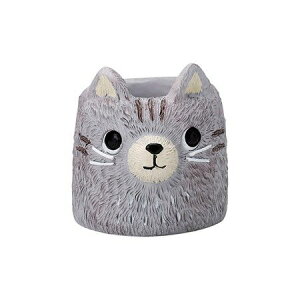 Aؔ  FV/ebgfV|bgS/5E4216y01z K[fjOE|pi t[|bg W