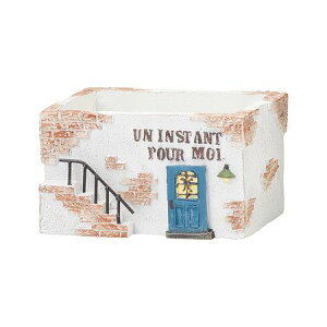 Aؔ  FV/AiX^gCh|bgM/5E4241y01z K[fjOE|pi t[|bg W