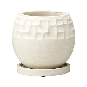 Aؔ  FV/AO{ESWiMtj/TD709y01z K[fjOE|pi t[|bg Zg