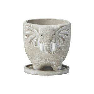 Aؔ  FV/Gt@X^hSiMtj/TD755y01z K[fjOE|pi t[|bg Zg