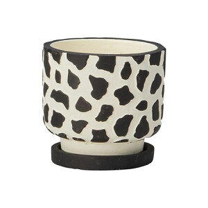 Aؔ  FV/Ip[X^hSiMtj/TD753y01z K[fjOE|pi t[|bg Zg