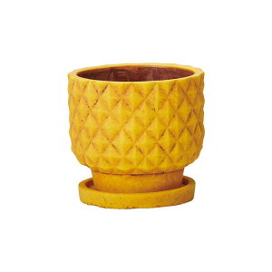 Aؔ  FV/iiX^hLiMtj/TD747y01z K[fjOE|pi t[|bg Zg