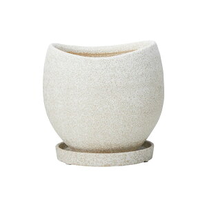 Aؔ  FV/Nu{E|bgMWiMtj/TF301y01z K[fjOE|pi t[|bg Zg