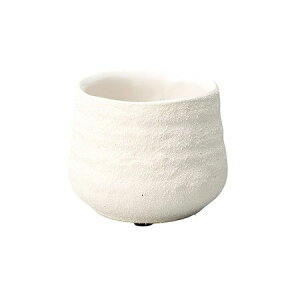 Aؔ  FV/OT[|bgL/TX120y01z K[fjOE|pi t[|bg EZ~bN