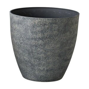 Aؔ  FV/eB[GY/MS1363y01z K[fjOE|pi t[|bg 